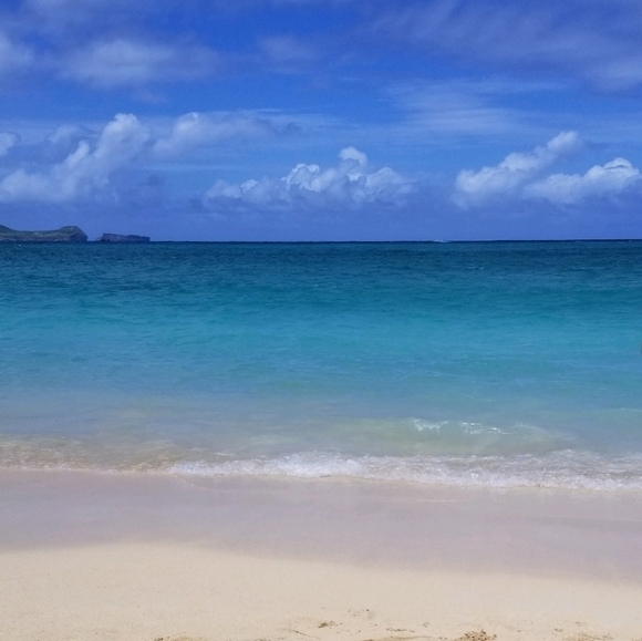 Meet your Posher, Delaney - Picture 5 of 5